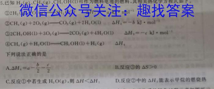 1江淮十校2024届高三第一次联考（8月）地理试卷及参考答案化学