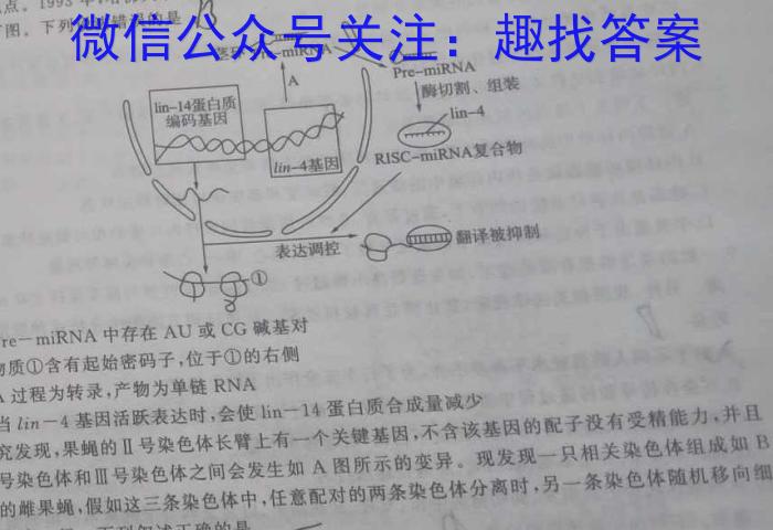 河南省2024届新高考8月起点摸底大联考生物试卷答案