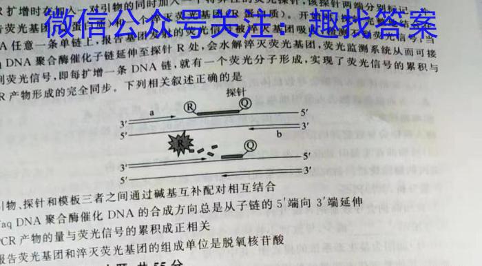 安徽省2024届九年级阶段评估（一）【1LR】生物试卷答案