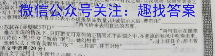 桂柳文化 2024届高考桂柳鸿图模拟金卷(一)语文