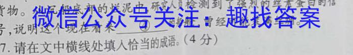 邕衡金卷 名校联盟南宁三中 柳州高中2024届第一次适应性考试语文