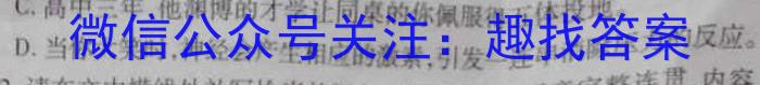 ［开学考］九师联盟2022-2023学年高三教学质量检测（X）语文
