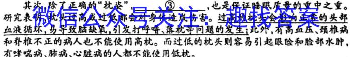 稳派大联考2023-2024学年新高二秋季开学考语文