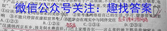 陕西省2023秋季九年级期末素养测评卷政治~