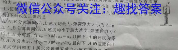 2024届Z20名校联盟（浙江省名校新高考研究联盟）高三第一次联考z物理
