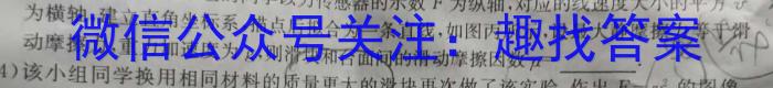 皖江名校2023-2024学年度上学期高二年级联考l物理