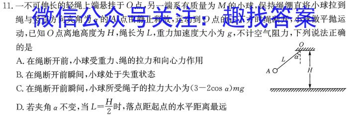 ［吉林大联考］吉林省2024届高三年级8月联考.物理