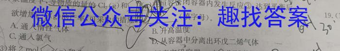 j陕西省2024届九年级阶段评估（一）【1LR】化学