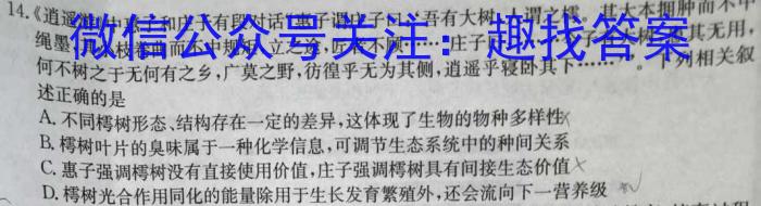 2024届全国高考分科模拟检测示范卷XGK✰(二)生物试卷答案