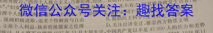 2023-2024学年安徽省九年级上学期开学摸底调研历史