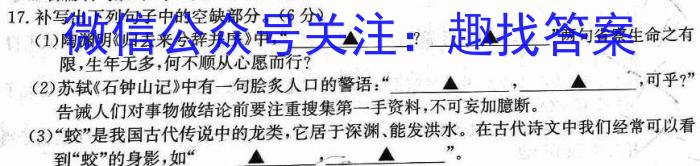 广西省普通高中2024届高三年级跨市联合适应性训练检测卷(24-29C)/语文