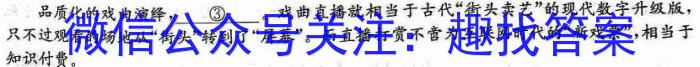 安徽省无为三中2023秋九年级第一次学情调研试卷语文