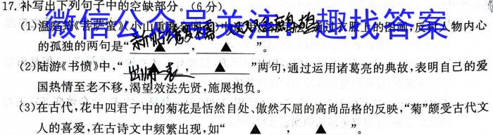 云南省昆明市第三中学初2024届初三年级上学期开学考试语文