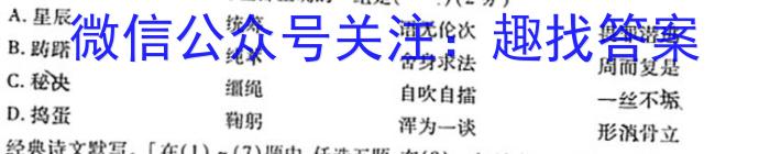 江淮名校·2023~2024学年上学期高一年级阶段联考(241136D)语文