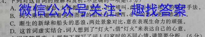 安徽第一卷·2023-2024学年安徽省八年级教学质量检测(一)语文