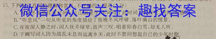 2023-2024学年安徽省九年级教学质量检测（一）语文