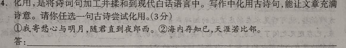 河南省2023-2024学年度九年级上学期第一次月考质量检测语文