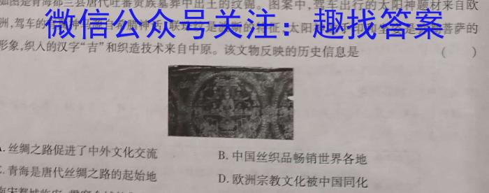 河南省教育研究院2024届新高三8月起点摸底联考历史试卷及参考答案历史