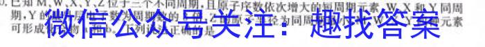 32024届福建泉州高三质检8月开学考试化学