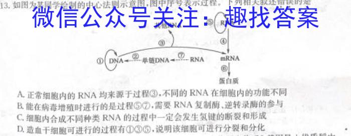 宜昌市、荆门市、荆州市、恩施州2024届高三起点考试生物试卷答案
