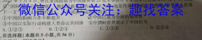 安徽省2024年九年级3月考试（无标题）政治~