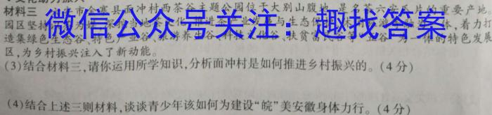 安徽省六安市某校2024届上学期初三阶段性目标检测（二）政治~