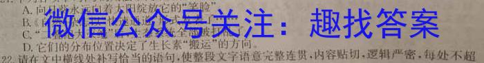 安徽省2023-2024学年度九年级第一次质量检测语文