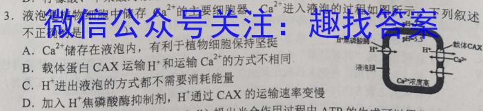 2024届湖南省高三年级8月联考生物试卷答案