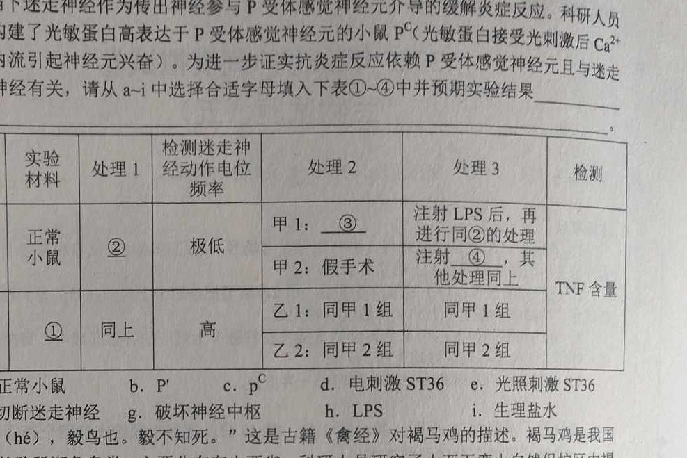 2024届全国高考分科调研模拟测试卷 XGK(二)生物