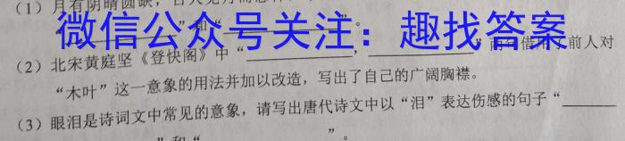 湖南省名校联盟·2023年上学期高二入学摸底考试语文