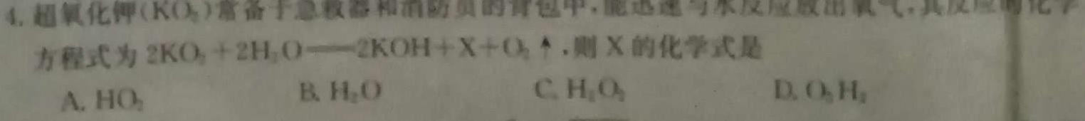 7安徽省2024届九年级阶段评估（一）【1LR】化学