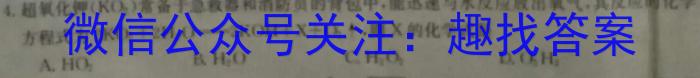 q全国大联考2024届高三第一次联考（1LK·新教材老高考-Y）化学