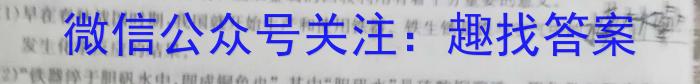 j2023-2024学年安徽省九年级上学期开学摸底调研化学