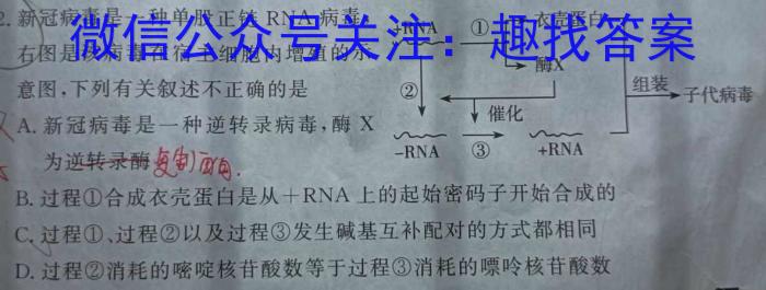 2024届高三试卷9月联考(火箭)生物试卷答案