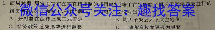 24届高三年级TOP二十名校调研考试一历史