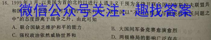 2024届百万大联考高三年级8月联考（1002C）历史