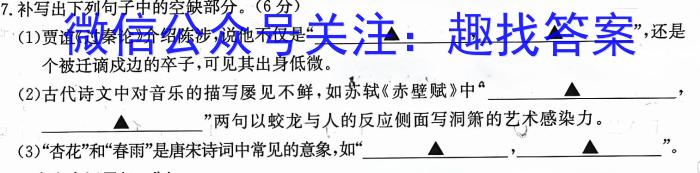 金科大联考2023~2024学年度高三年级10月质量检测(24045C)/语文