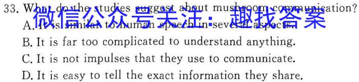 2024届全国高考分科模拟检测示范卷XGK✰(二)英语试题