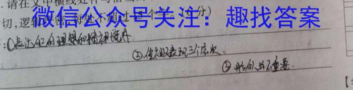 安徽第一卷2023-2024安徽省九年级教学质量检测(一)语文