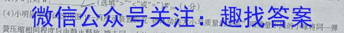 2024届金太阳百万大联考高三年级8月联考（1002C）z物理