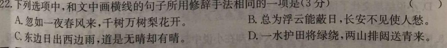 河北省高碑店市2023-2024学年度第一学期第一次阶段性教学质量监测（初三）语文