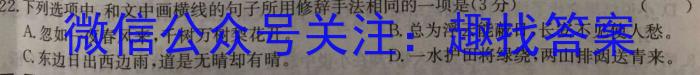 山西省九年级2023-2024学年新课标闯关卷（九）SHX/语文