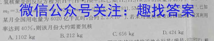 2024届福建泉州高三质检8月开学考试z物理