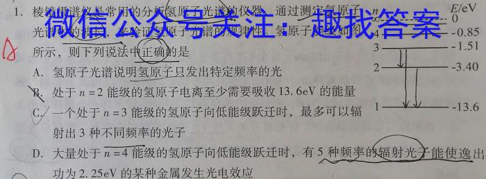江西省稳派教育联考2024届高三开学摸底考试q物理