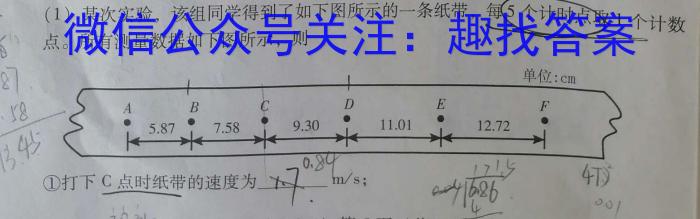 重庆巴蜀科学城中学校初2024届初三（上）入学考试物理.