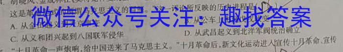安徽省界首市2024-2023学年度七年级（下）期末学业结果诊断性评价历史