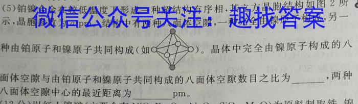 q24届高三年级TOP二十名校调研考试二化学