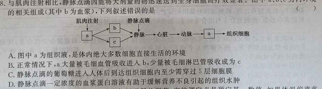 2024届全国高考分科调研模拟测试卷 XGK(二)生物