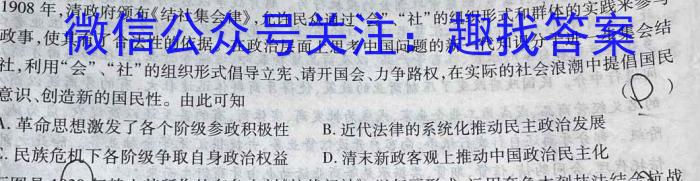 2024届安徽T12教育九年级第一次调研模拟卷（政治）