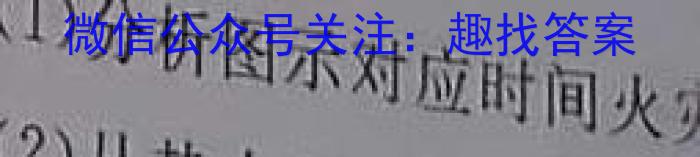 2024届全国高考分科调研模拟测试卷 XGK(二)&政治